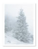 zCards_Winter-02